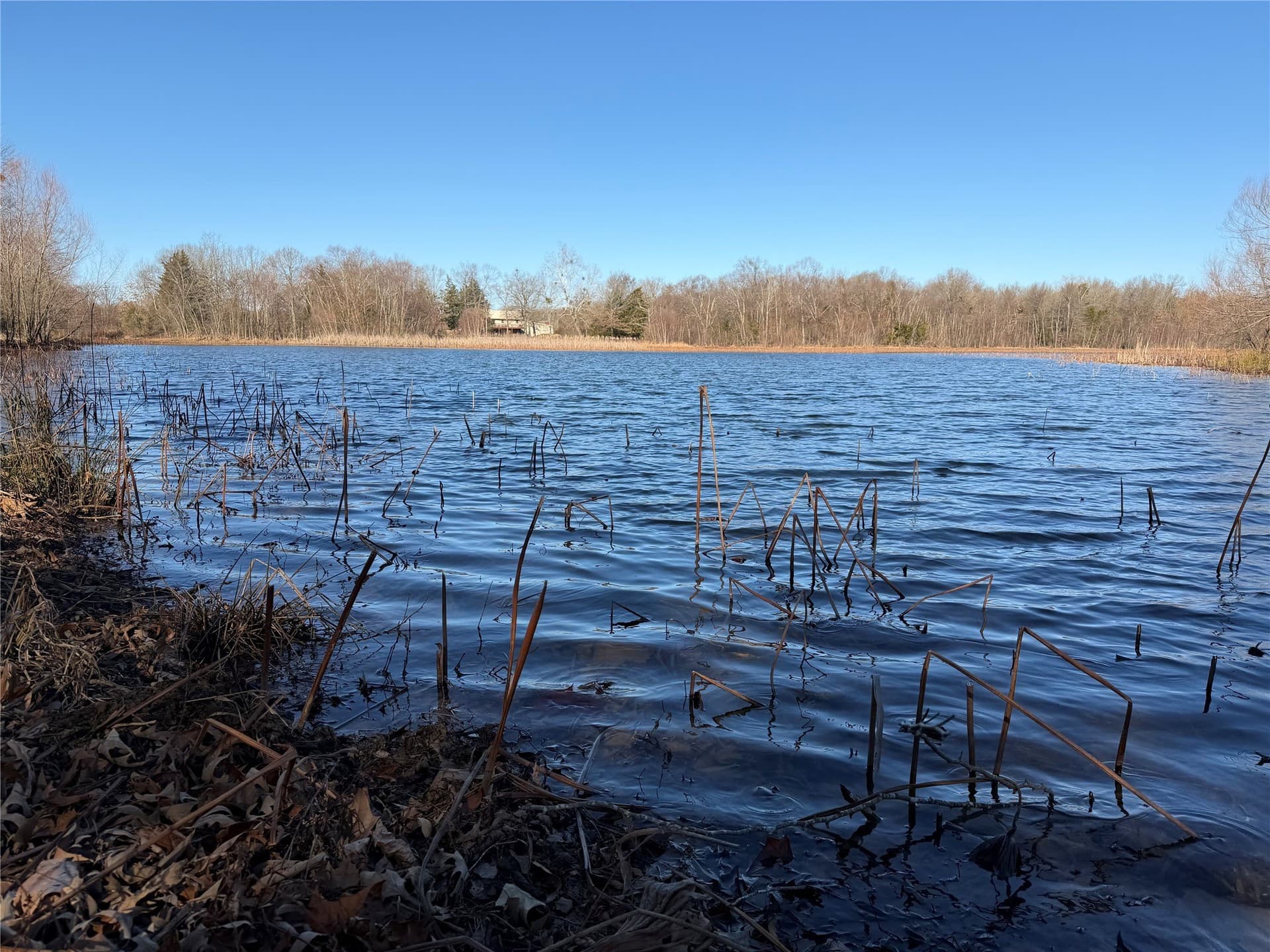 226 acres in Lamar County - photo 16