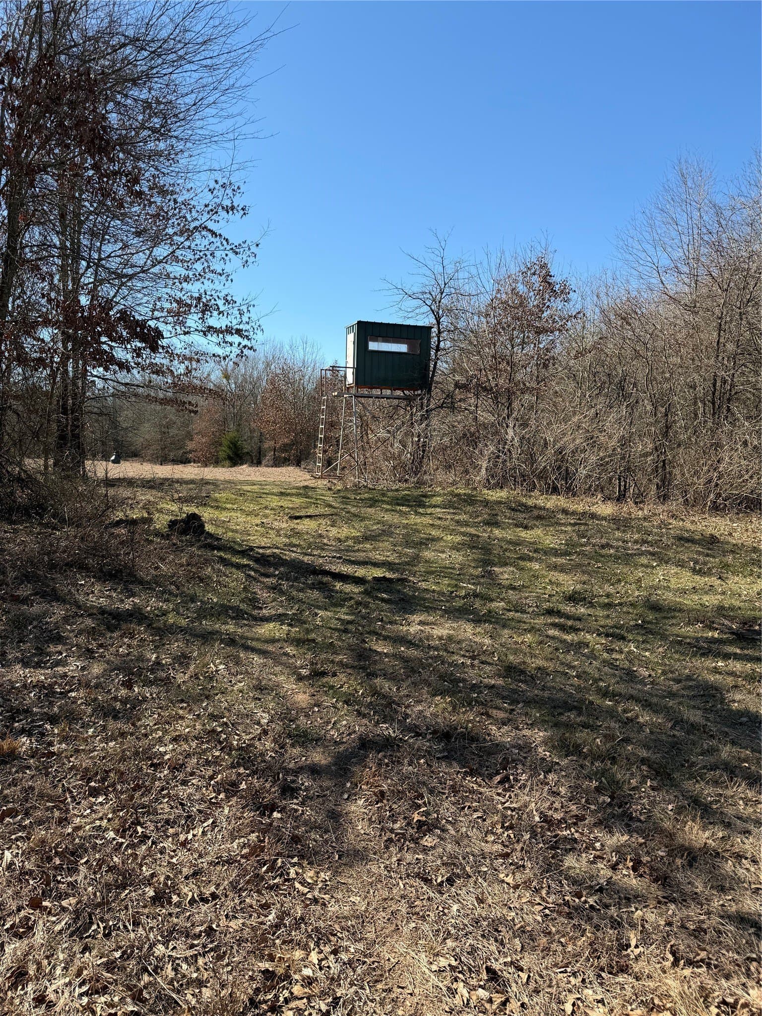 226 acres in Lamar County - photo 10