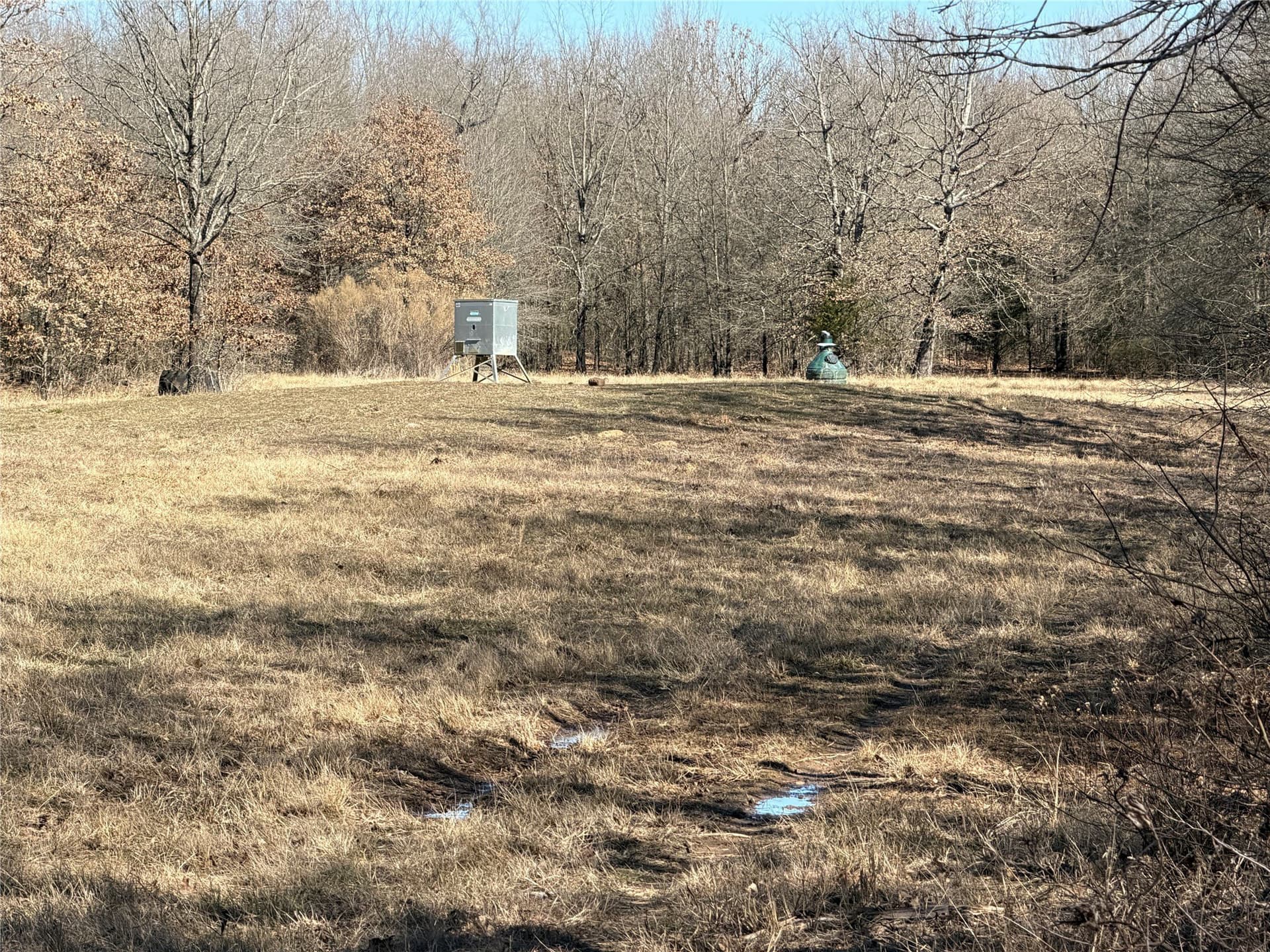 226 acres in Lamar County - photo 11