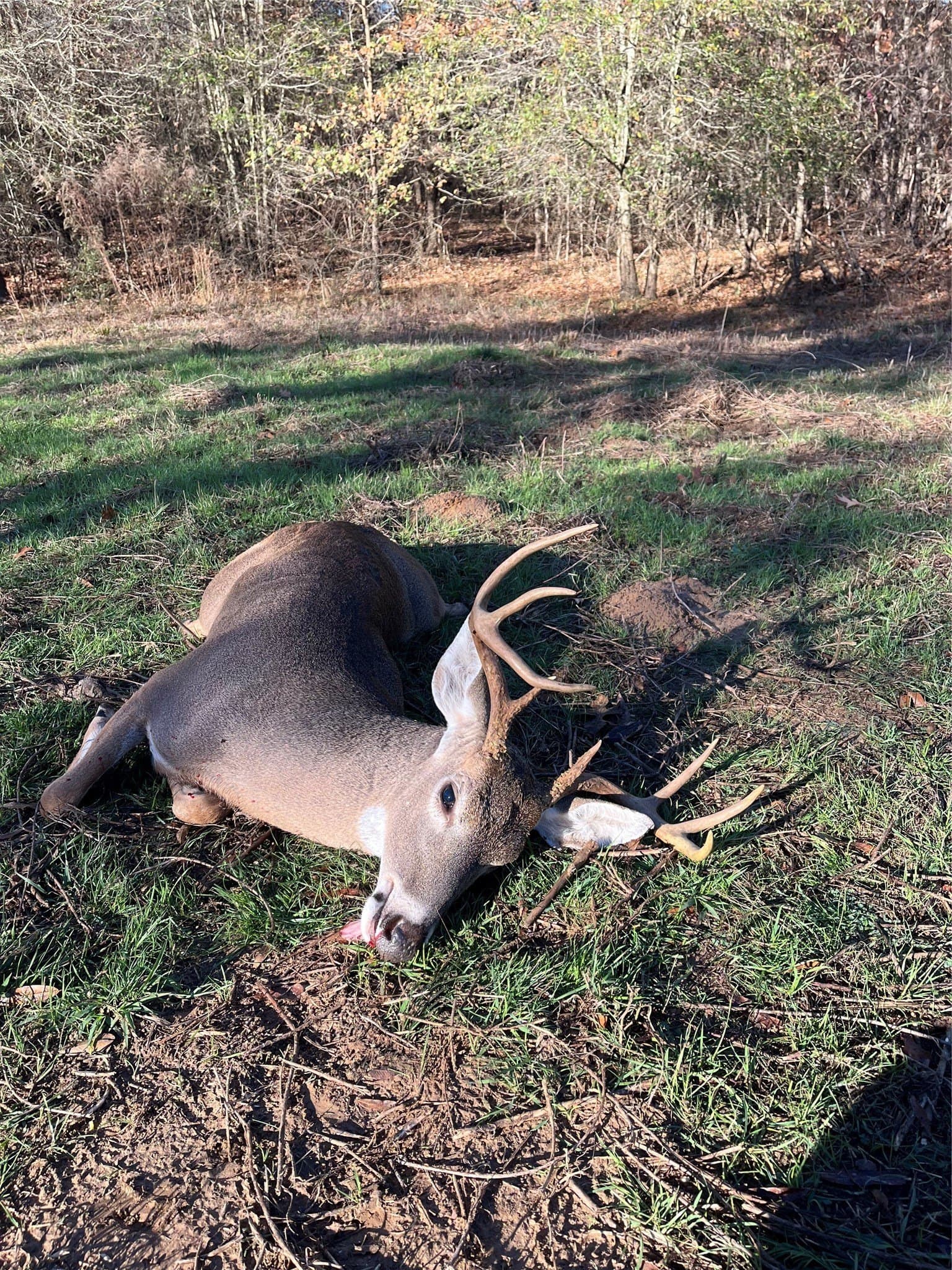 226 acres in Lamar County - photo 24