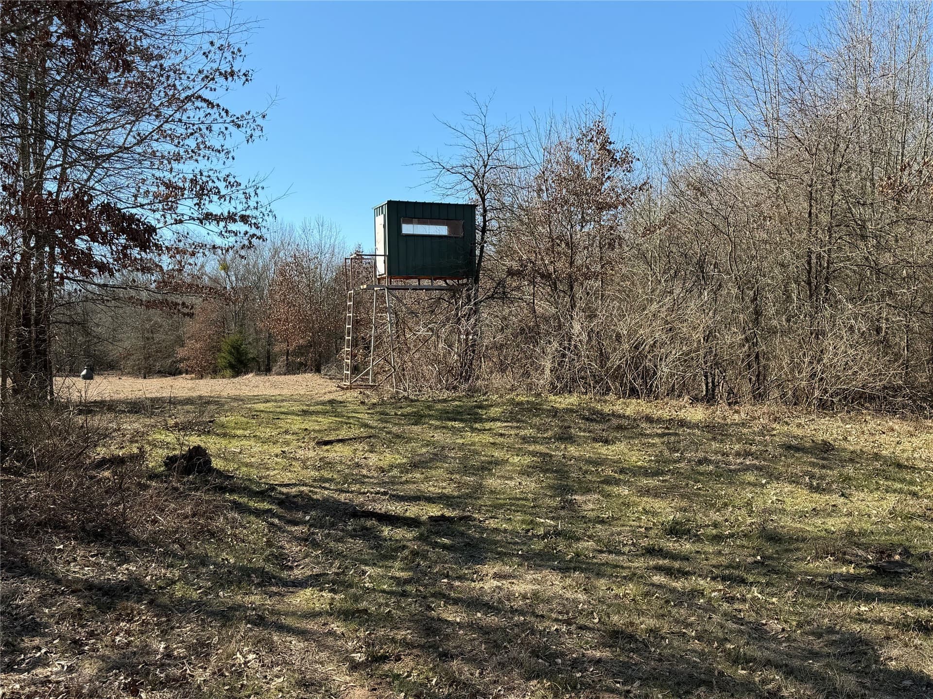 226 acres in Lamar County - photo 12