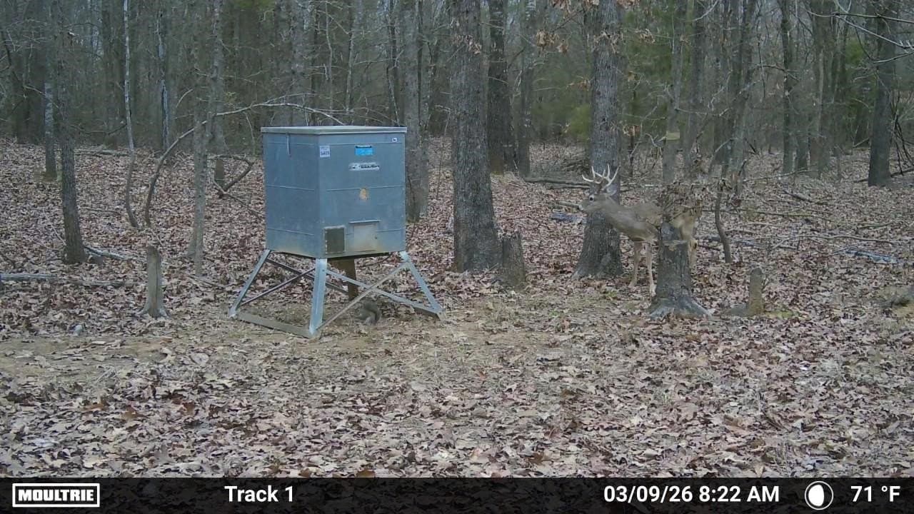 226 acres in Lamar County - photo 27