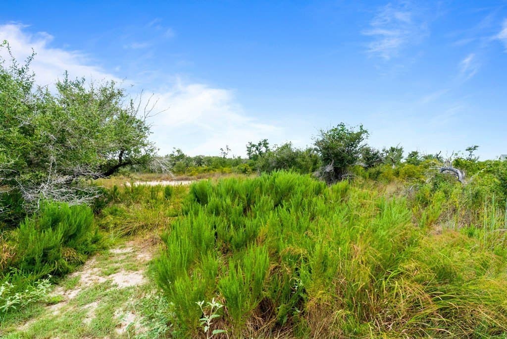 3.45 acres in Texas County - photo 8