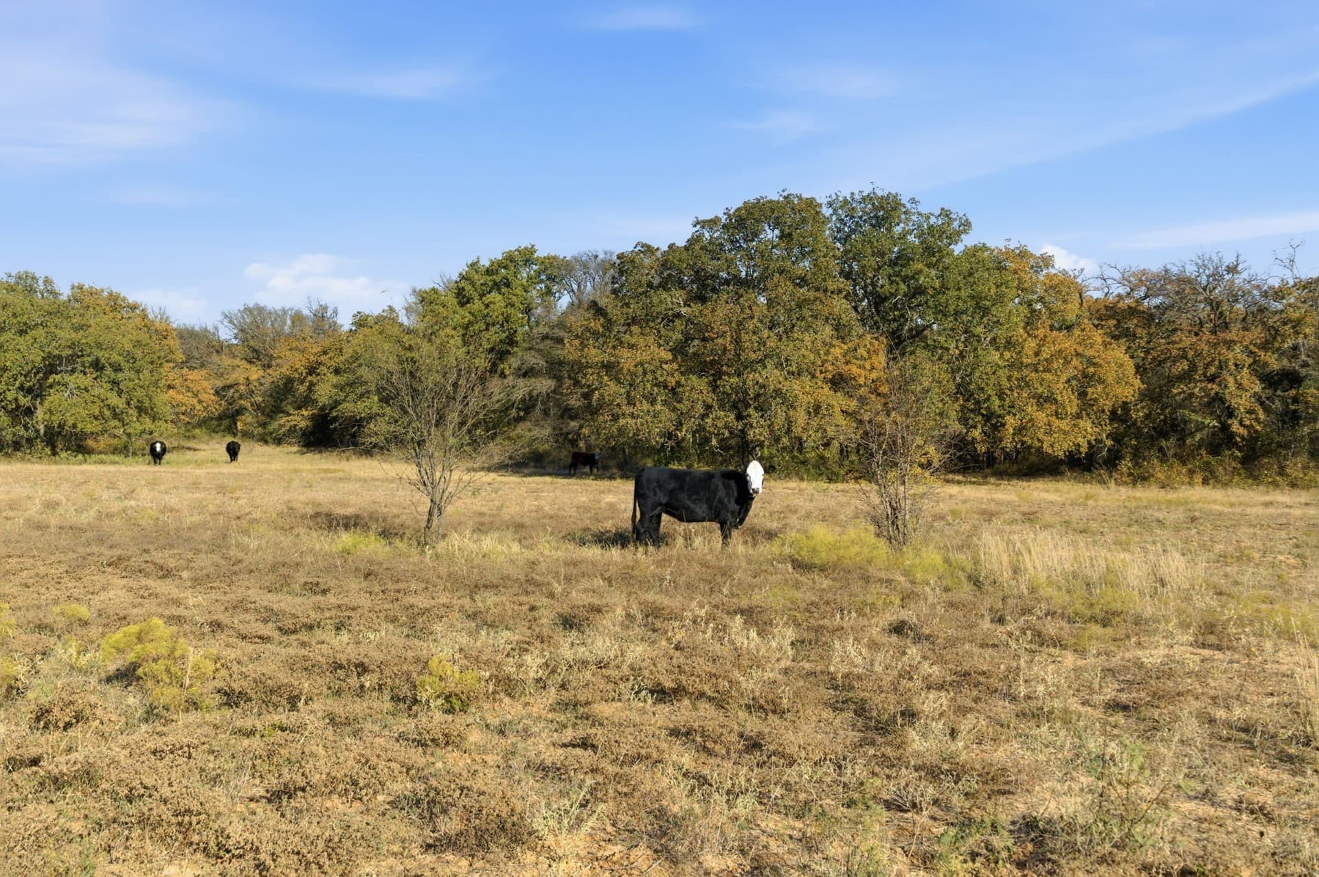 38 acres in Hood County - photo 3