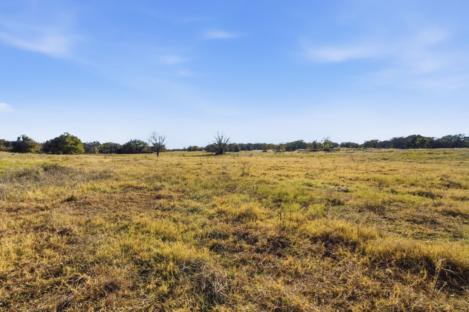 38 acres in Hood County - photo 8