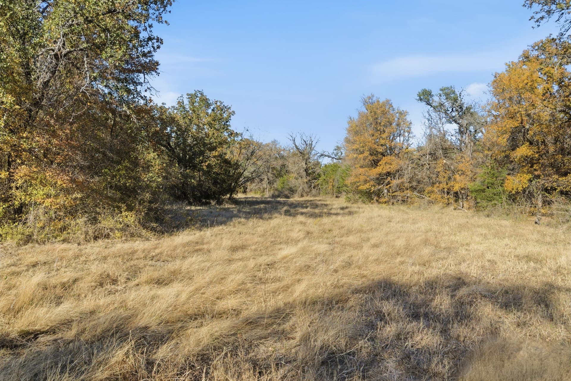 38 acres in Hood County - photo 9
