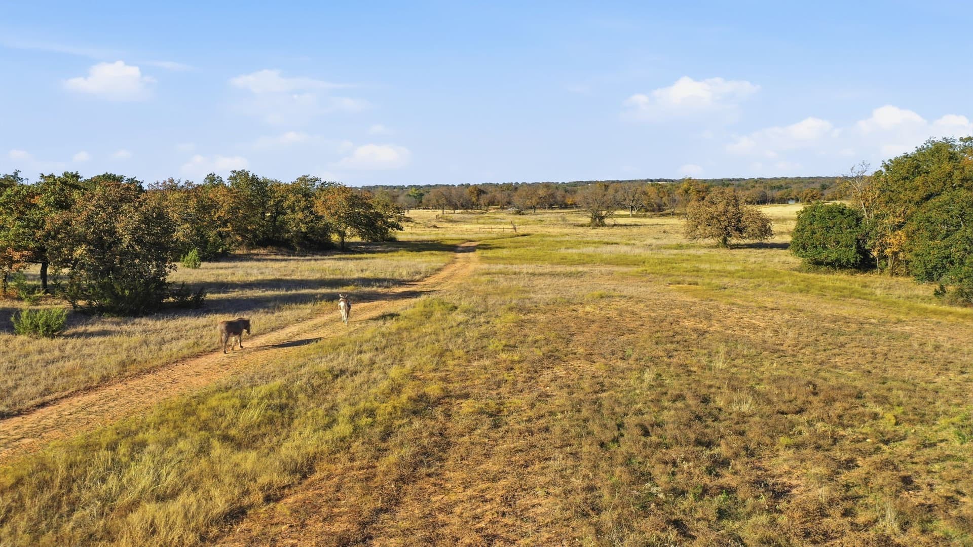 38 acres in Hood County - photo 24
