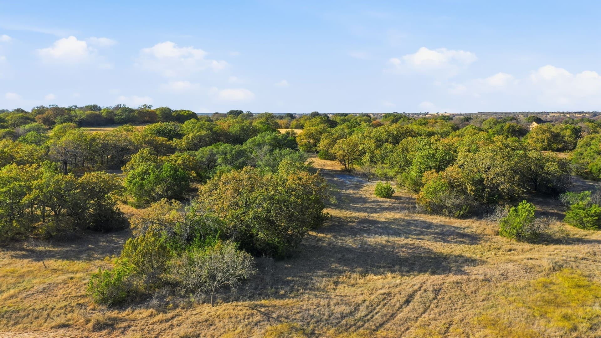 38 acres in Hood County - photo 22