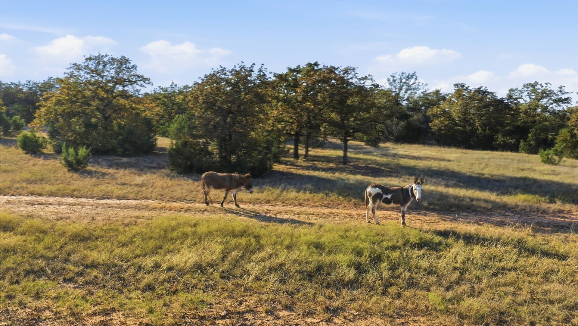 38 acres in Hood County - photo 2