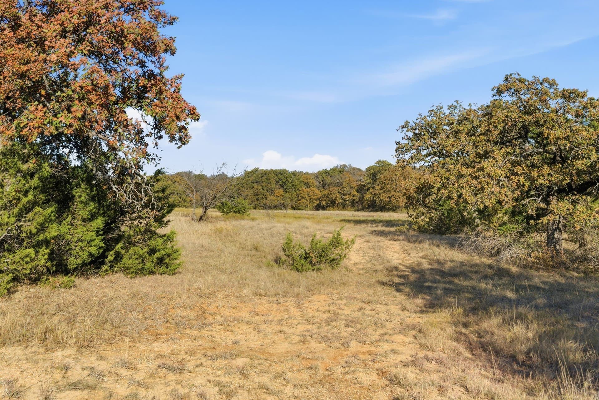 38 acres in Hood County - photo 13