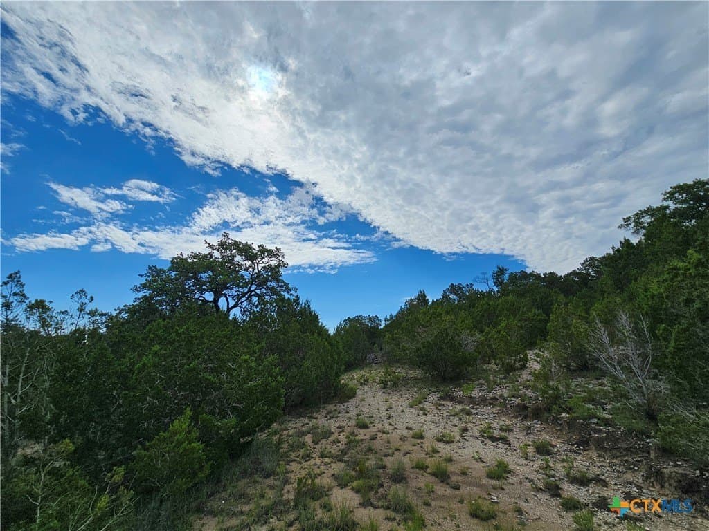 13.97 acres in Lampasas County gallery image 3