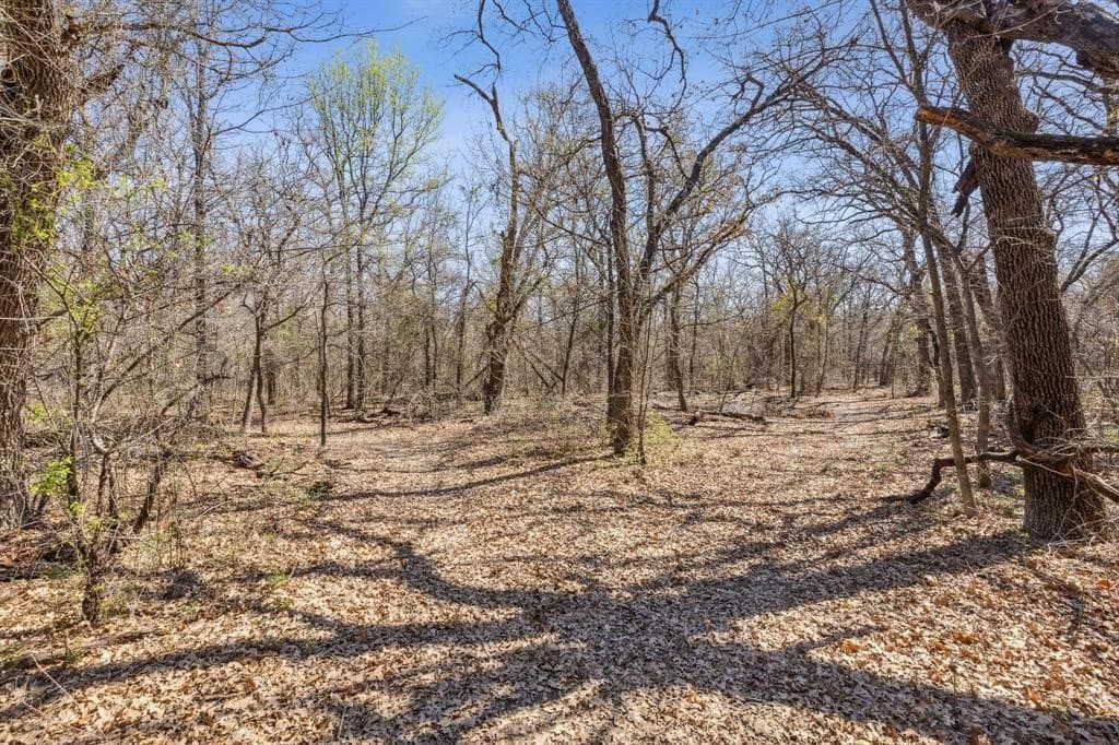 24 acres in Denton County gallery image 3