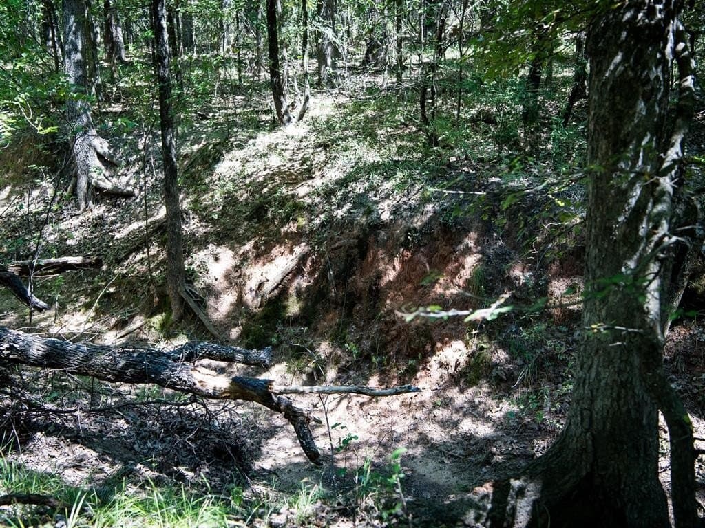 24 acres in Denton County gallery image 4