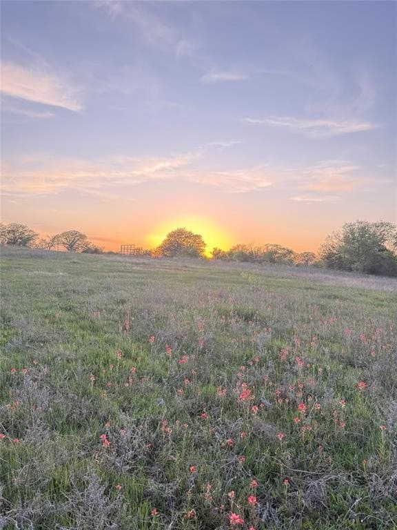 10.01 acres in Wise County gallery image 2