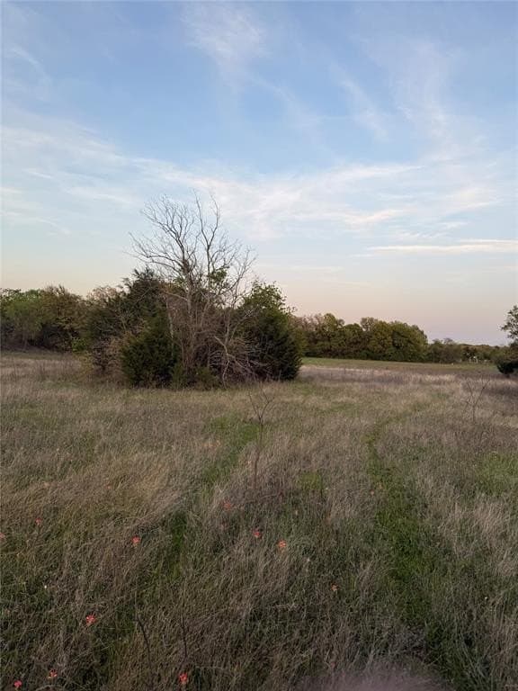 10.01 acres in Wise County gallery image 4