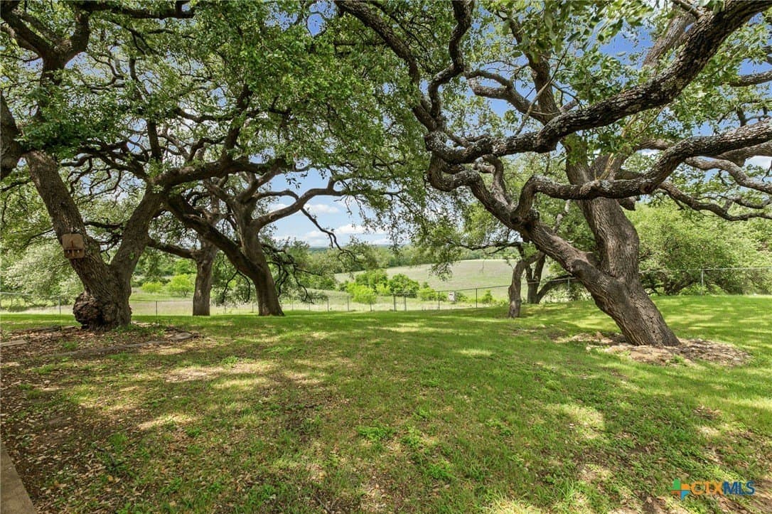 36.32 acres in Bell County gallery image 3