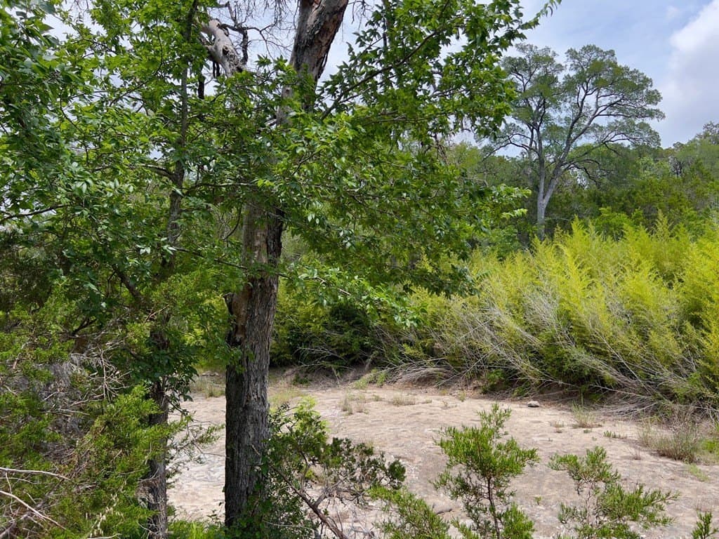 2.68 acres in Blanco County gallery image 3