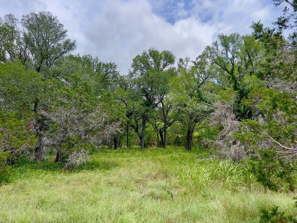 2.68 acres in Blanco County featured view