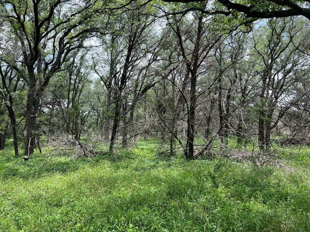 2.68 acres in Blanco County gallery image 4