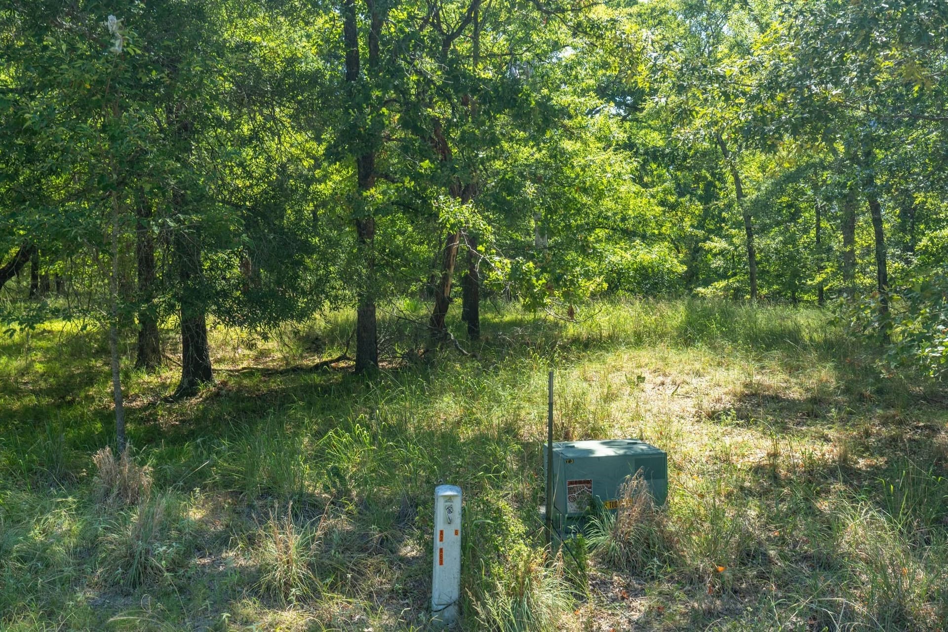 2.02 acres in Rains County - photo 10