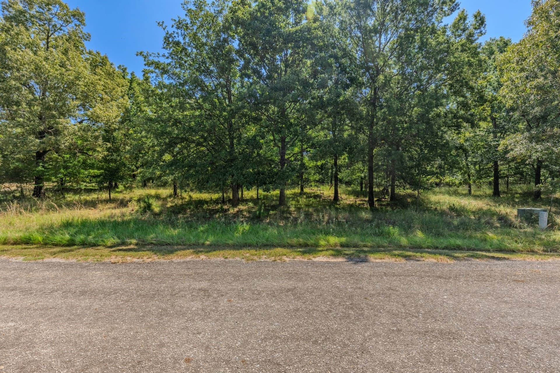 2.02 acres in Rains County gallery image 3