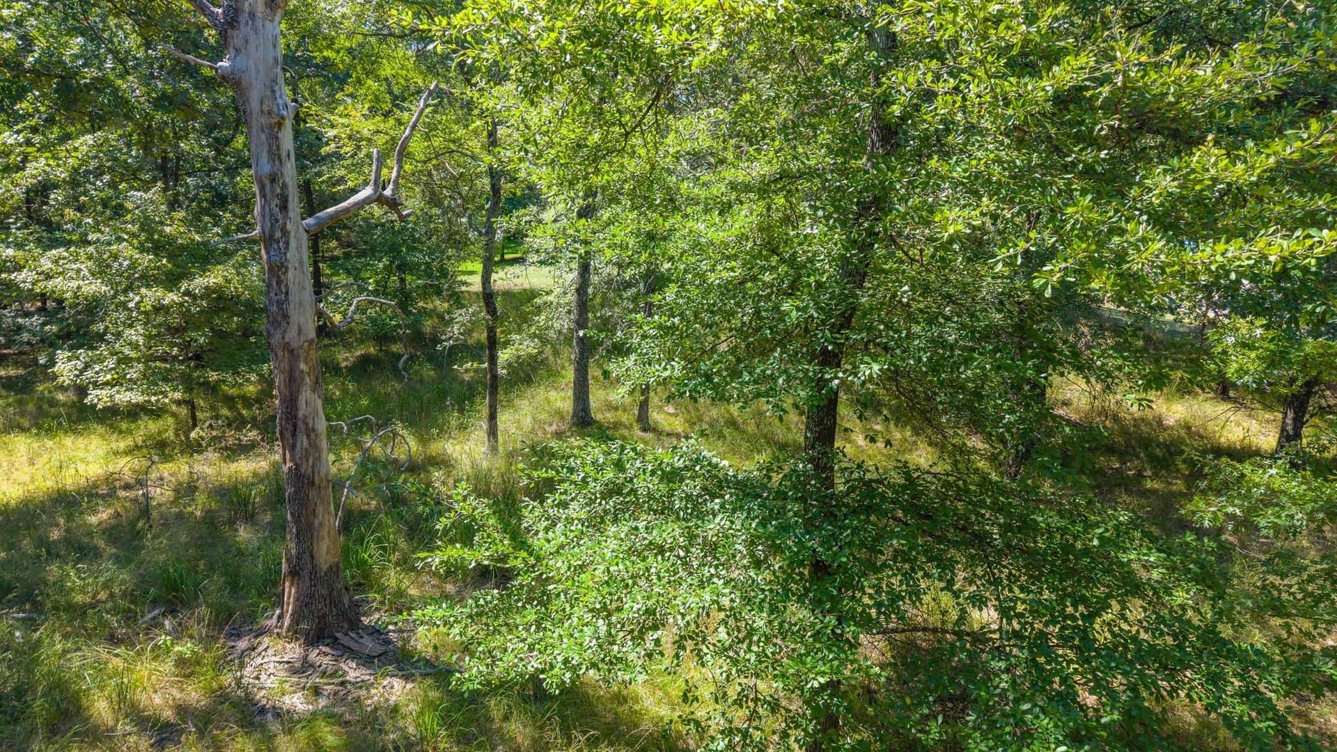 2.02 acres in Rains County - photo 12