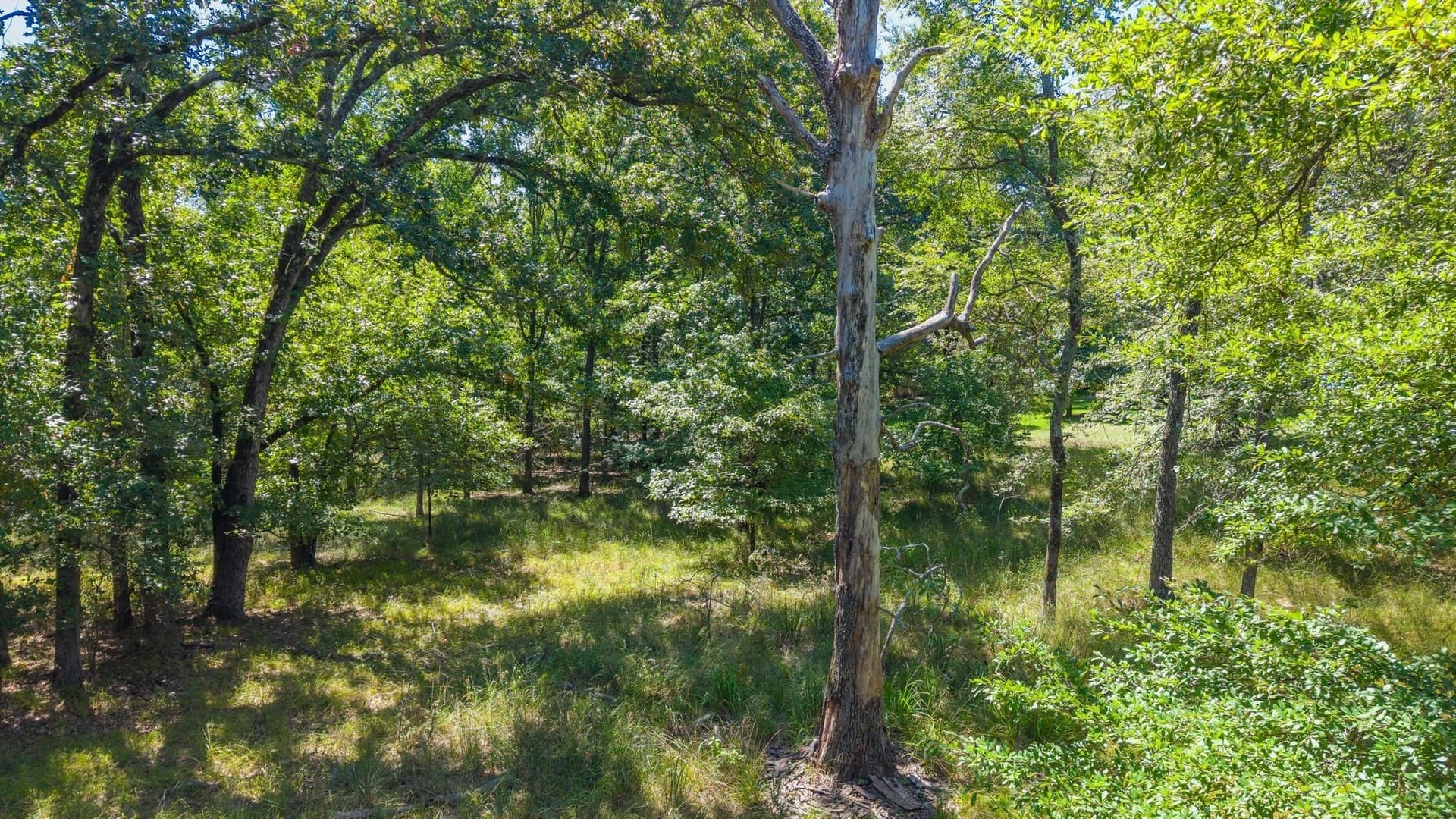 2.02 acres in Rains County - photo 15
