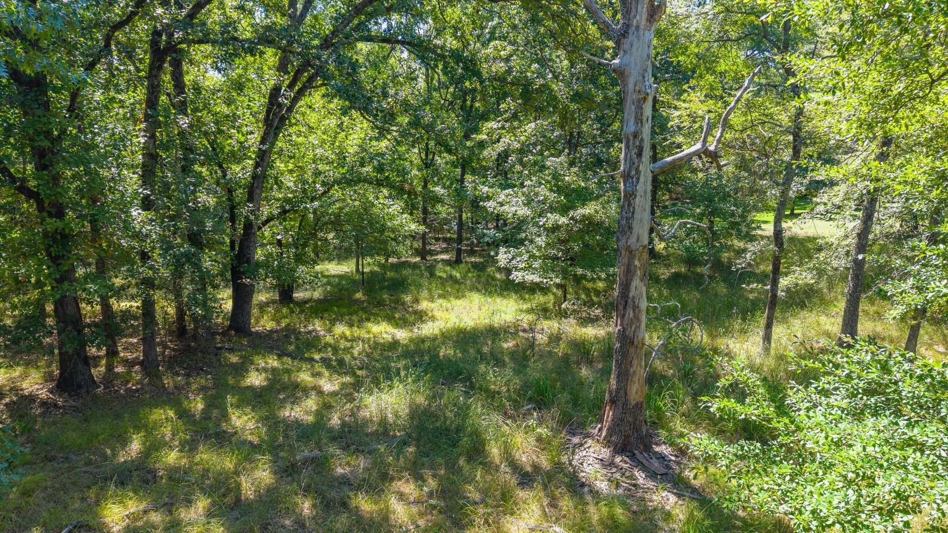 2.02 acres in Rains County - photo 13