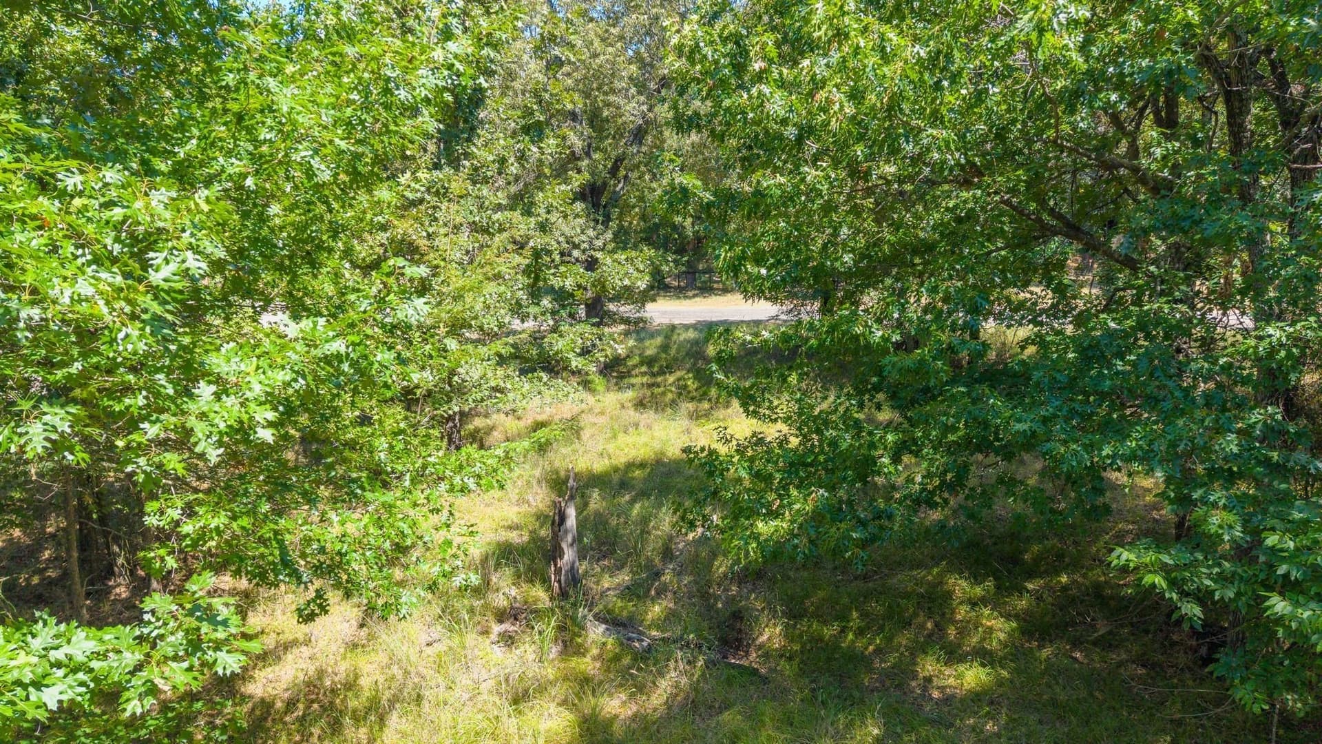 2.02 acres in Rains County - photo 14