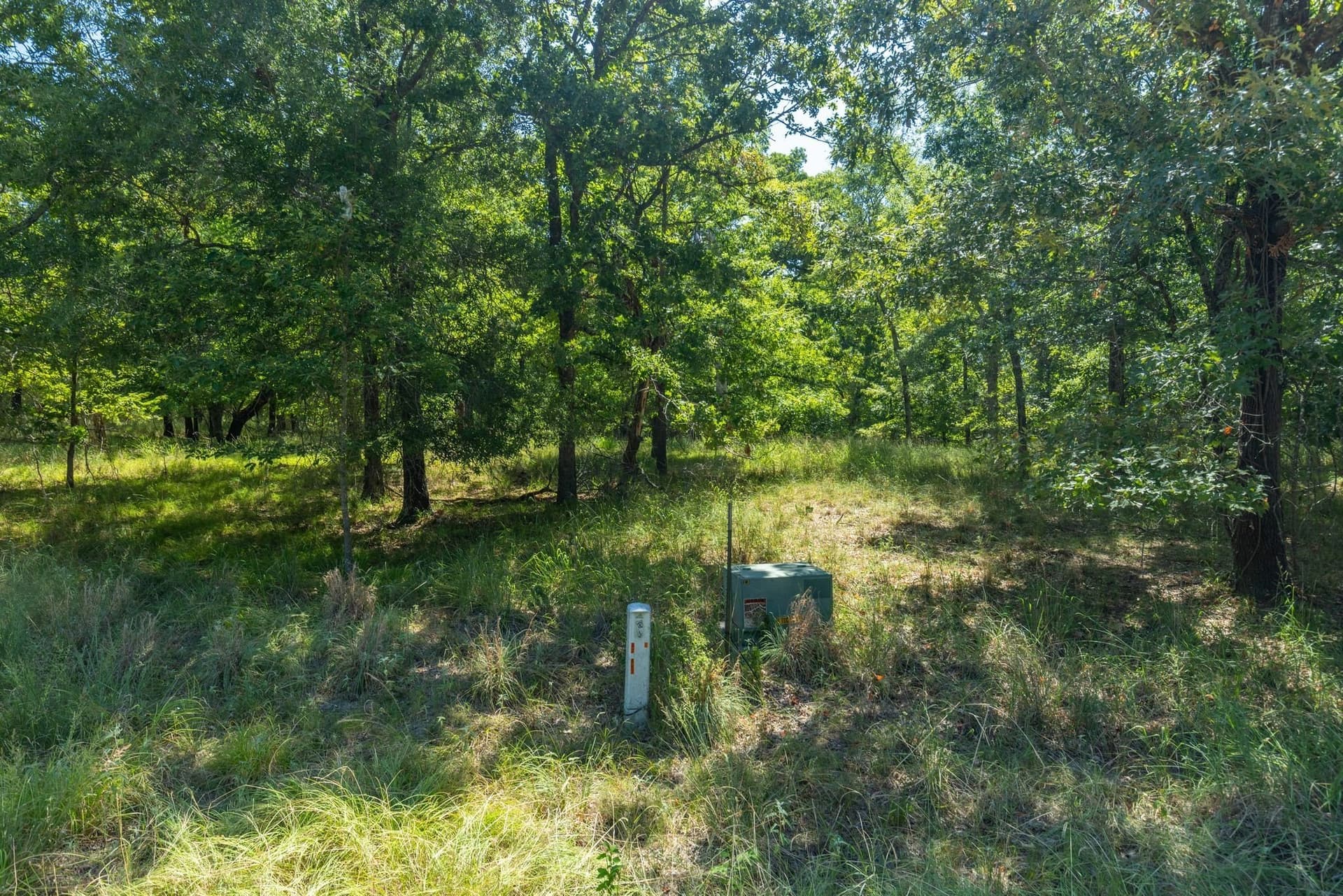 2.02 acres in Rains County - photo 11