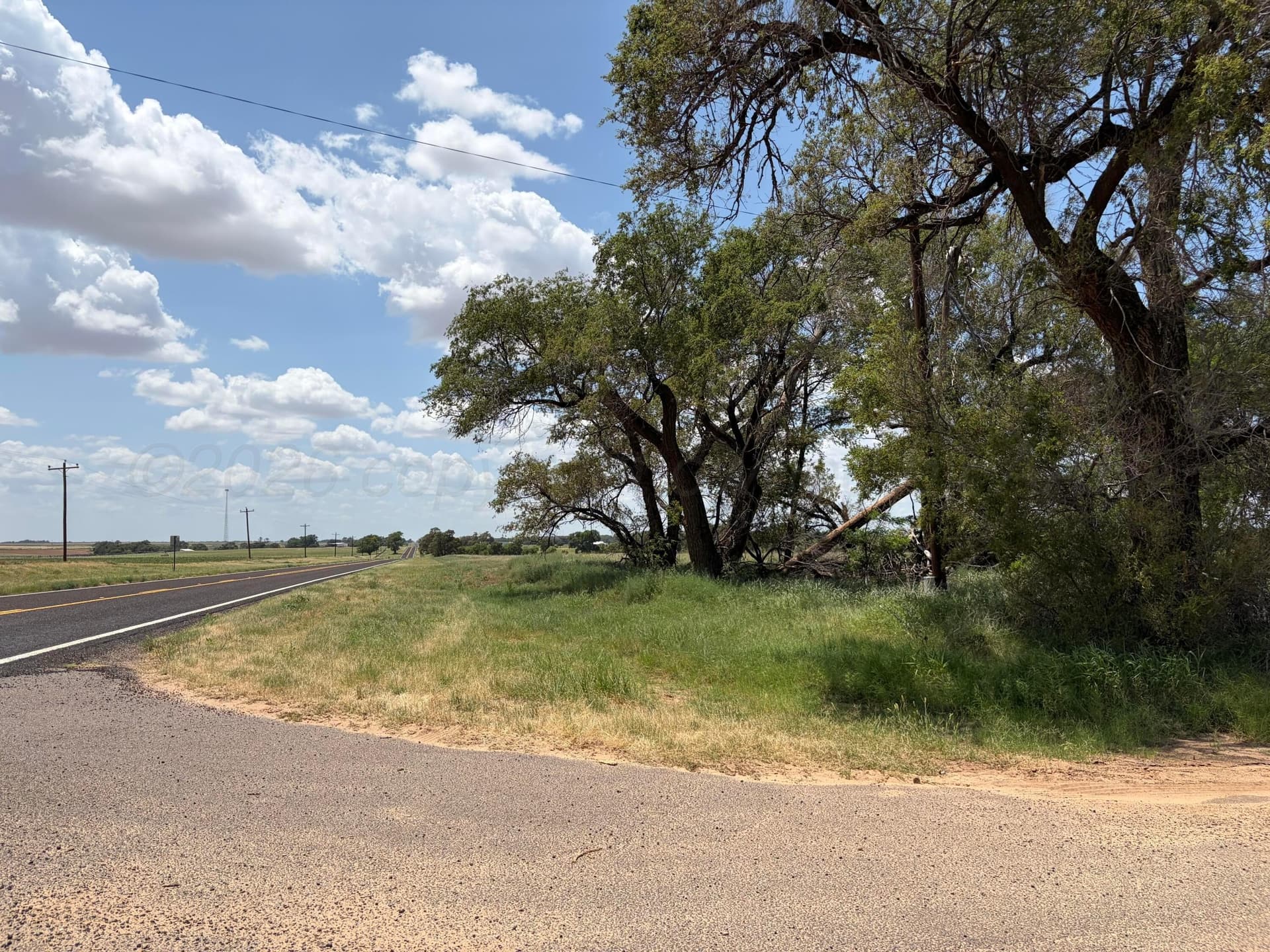 38.25 acres in Texas County - photo 6