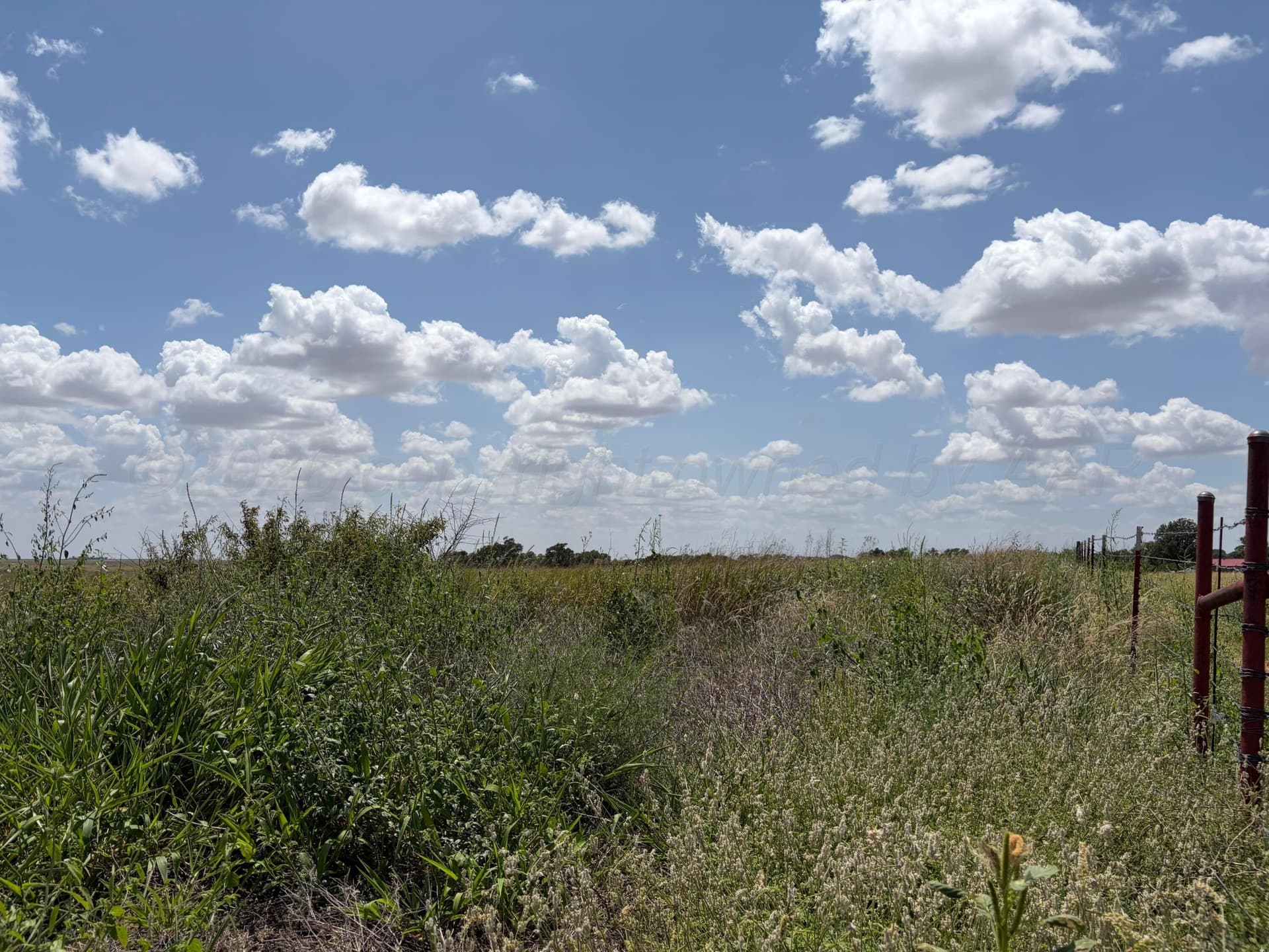 38.25 acres in Texas County - photo 8