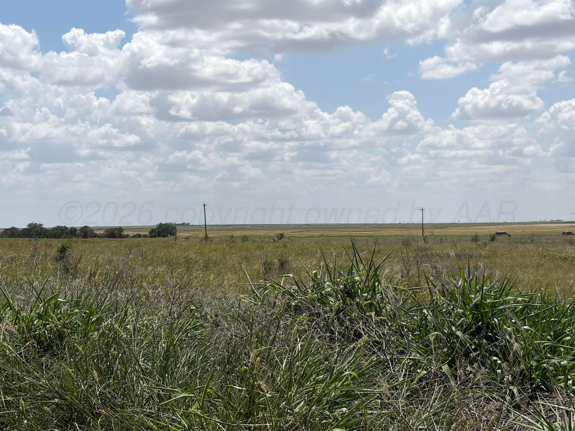 38.25 acres in Texas County - photo 9