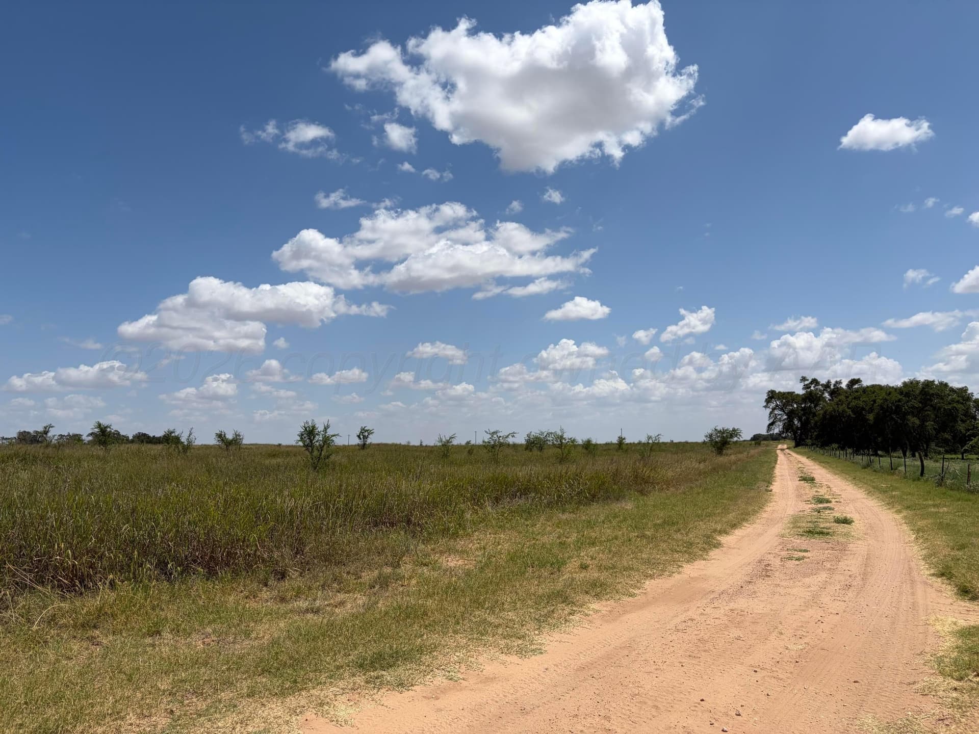 38.25 acres in Texas County gallery image 4