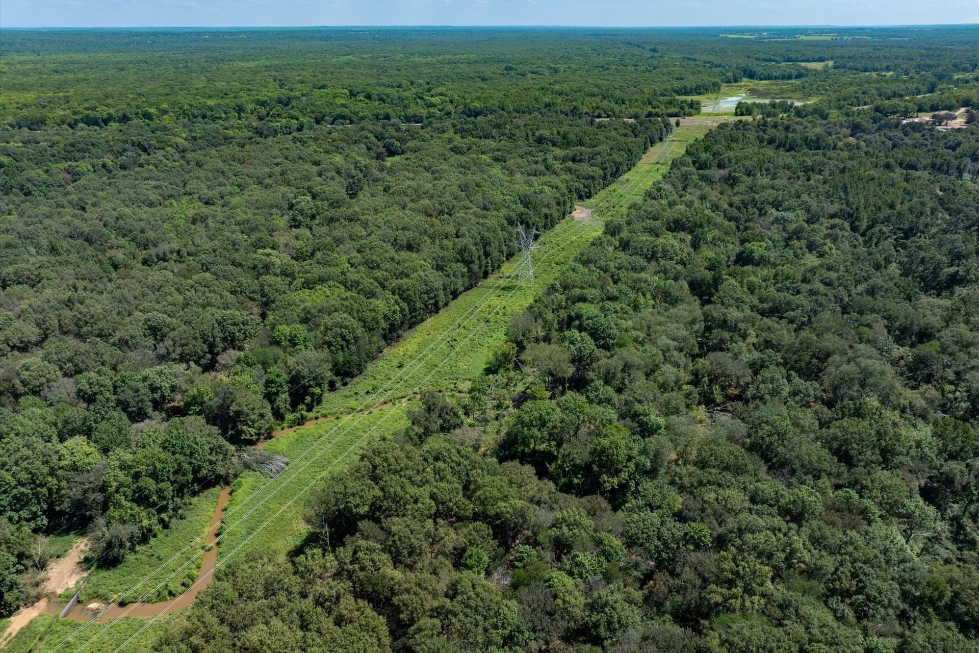 43 acres in Smith County gallery image 4