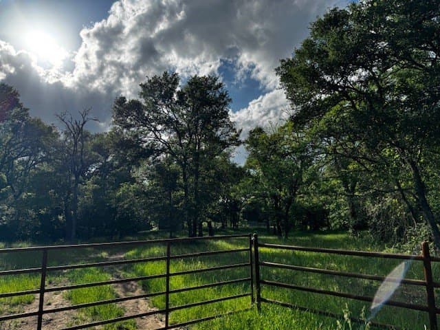 47.78 acres in Freestone County gallery image 3