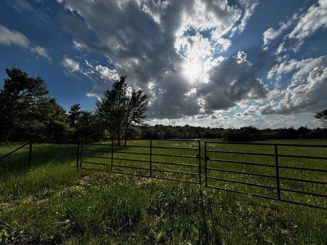 47.78 acres in Freestone County - photo 13