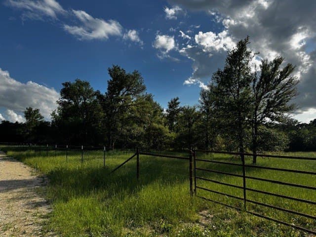 47.78 acres in Freestone County - photo 18