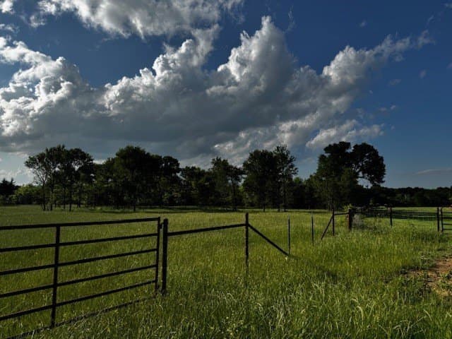 47.78 acres in Freestone County - photo 14