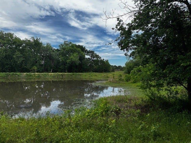 47.78 acres in Freestone County - photo 10