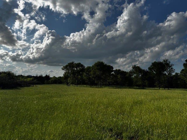 47.78 acres in Freestone County - photo 17