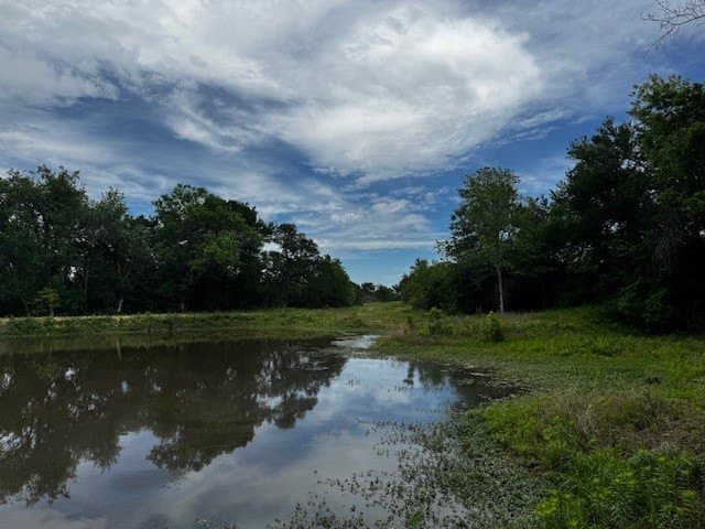 47.78 acres in Freestone County - photo 9