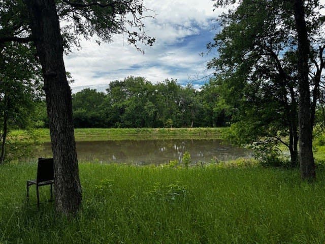 47.78 acres in Freestone County - photo 6