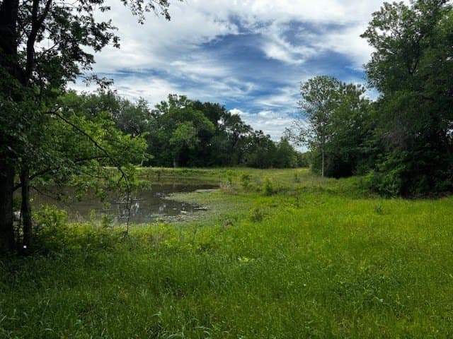 47.78 acres in Freestone County - photo 8