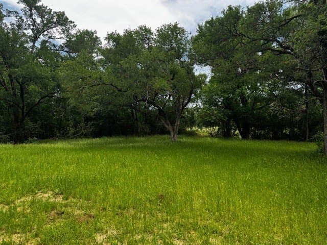 47.78 acres in Freestone County - photo 7