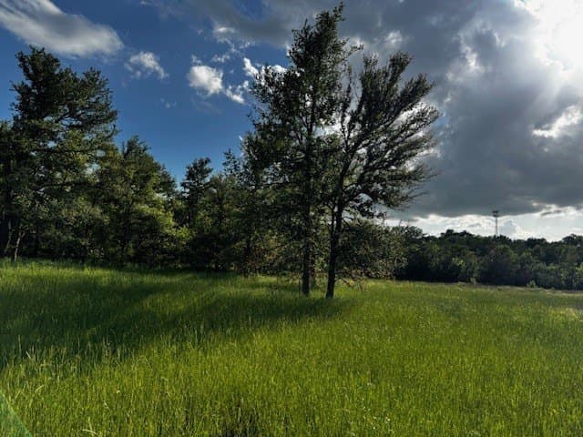 47.78 acres in Freestone County - photo 15