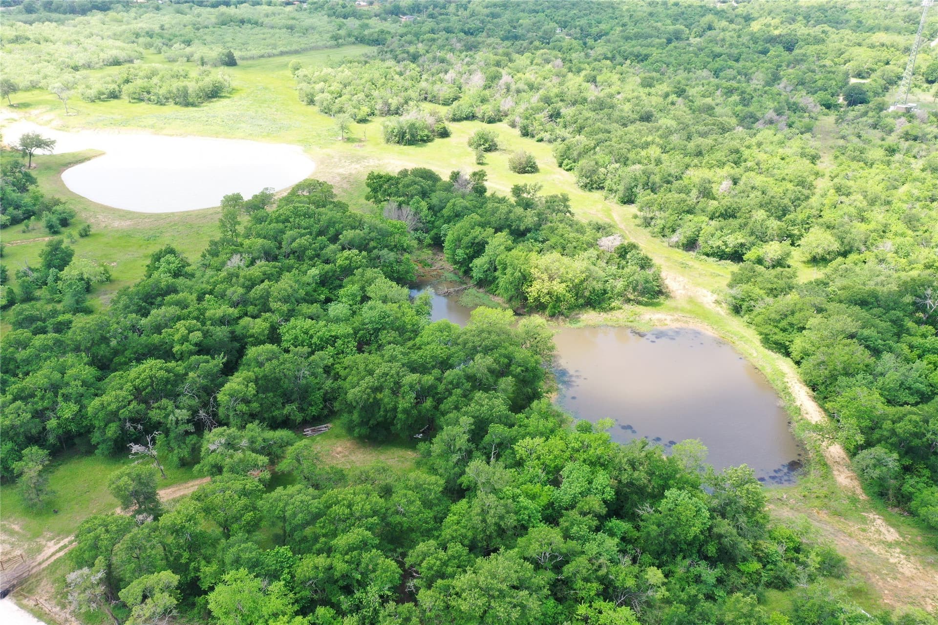 47.78 acres in Freestone County - photo 19
