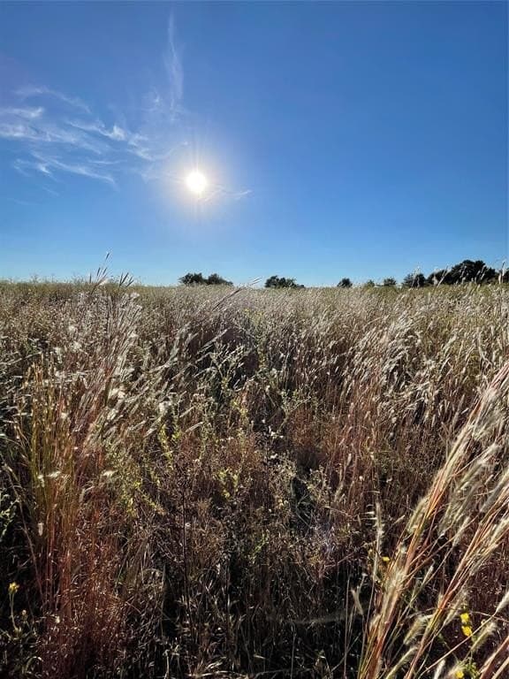 11.5 acres in Van Zandt County gallery image 4