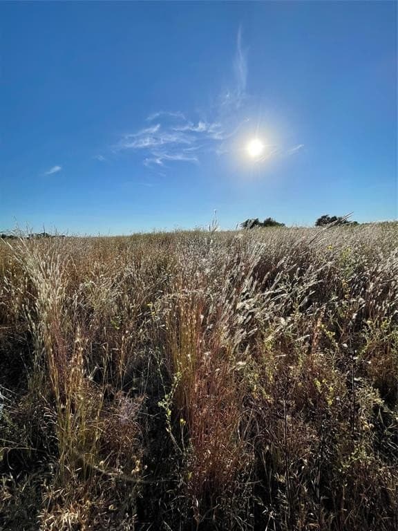 11.5 acres in Van Zandt County featured view