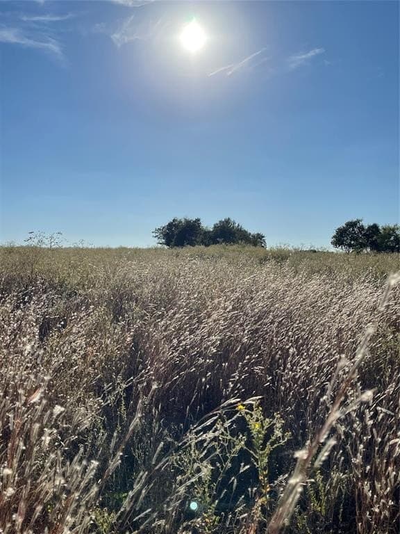 11.5 acres in Van Zandt County gallery image 2